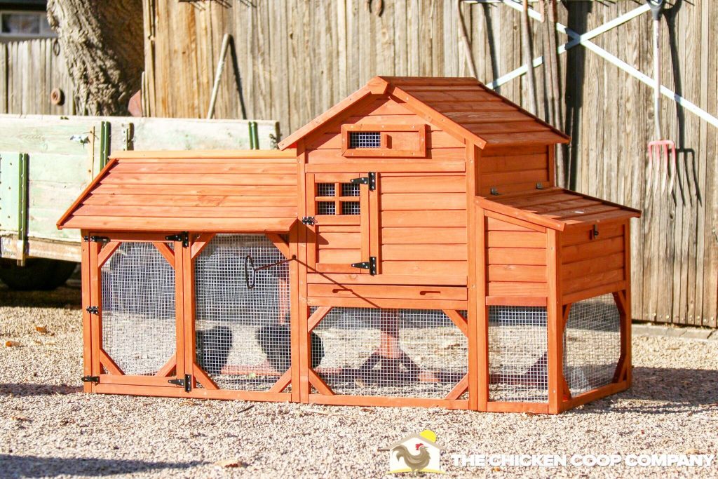 80 Best Chicken Coops And Runs To Buy